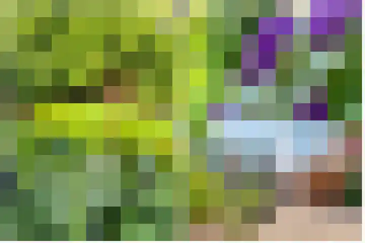 Kolkrijst 151 Hoogland thumbnail 36