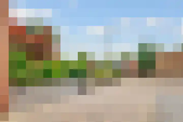 Kolkrijst 151 Hoogland thumbnail 40