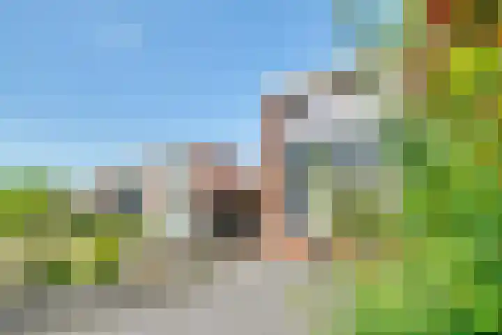 Kolkrijst 151 Hoogland thumbnail 41