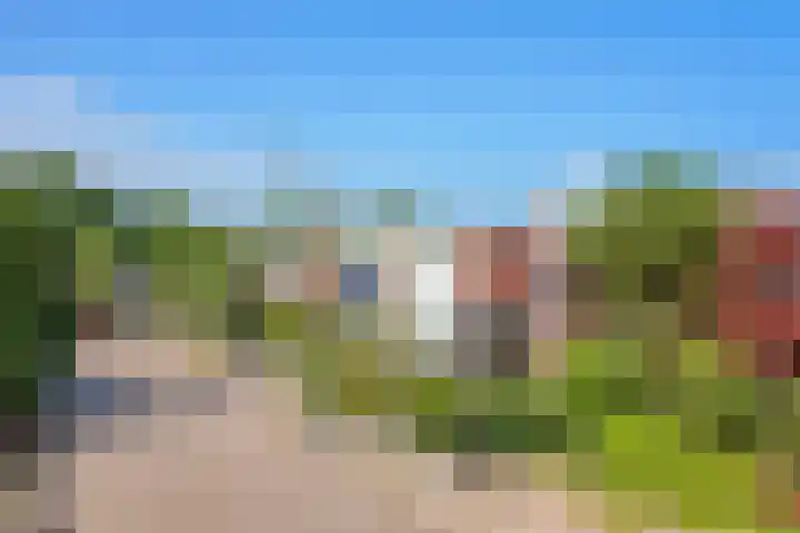 Kolkrijst 151 Hoogland thumbnail 42