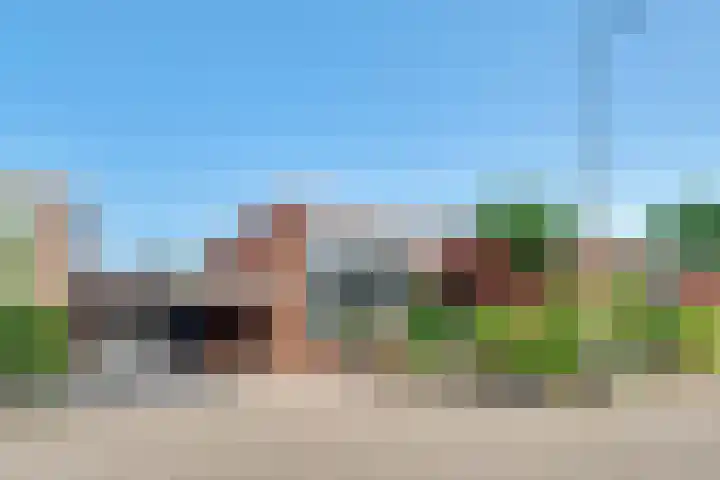 Kolkrijst 151 Hoogland thumbnail 43
