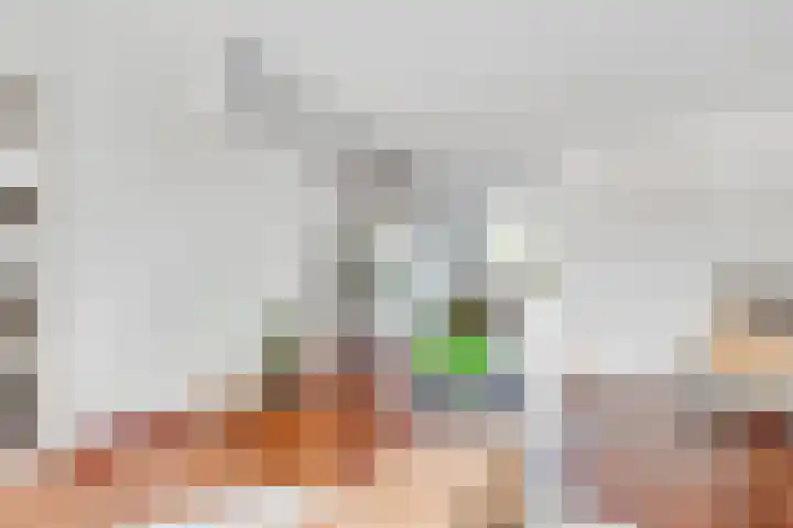 Kolkrijst 151 Hoogland thumbnail 6