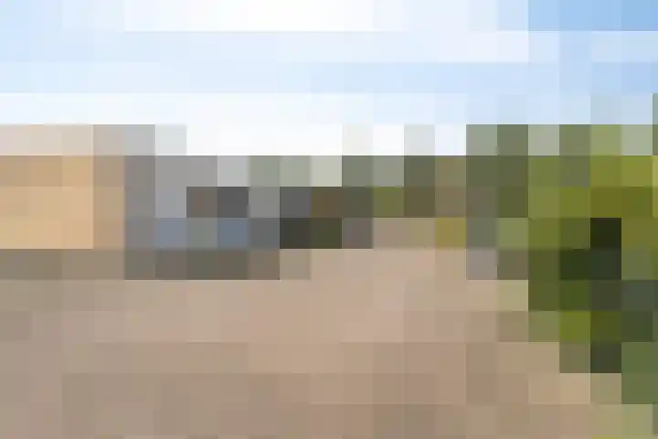 Kolkrijst 154 Hoogland thumbnail 10