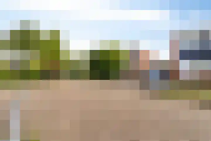 Kolkrijst 154 Hoogland thumbnail 11