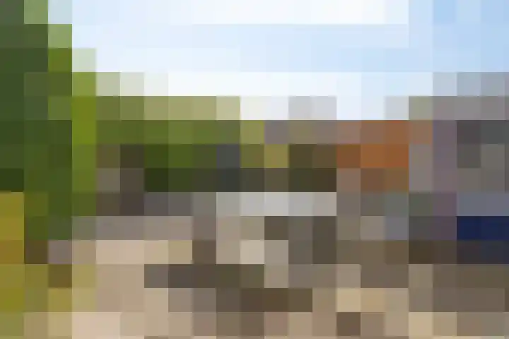 Kolkrijst 154 Hoogland thumbnail 34