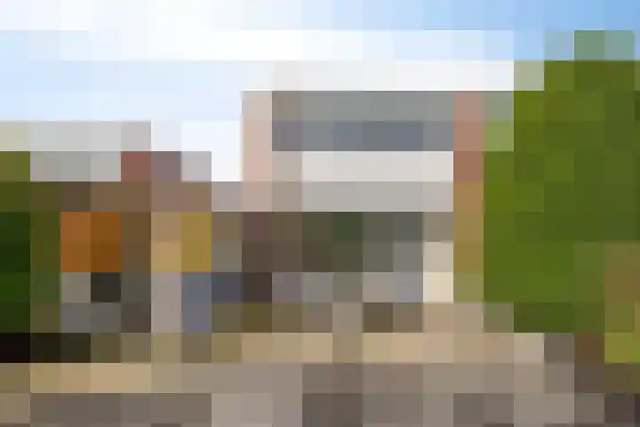 Kolkrijst 154 Hoogland thumbnail 36