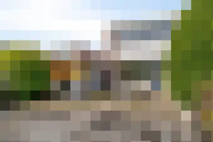 Kolkrijst 154 Hoogland thumbnail 37