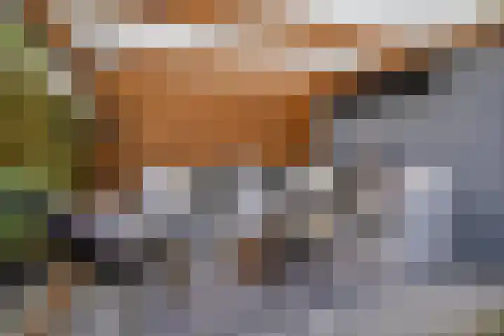 Kolkrijst 154 Hoogland thumbnail 38
