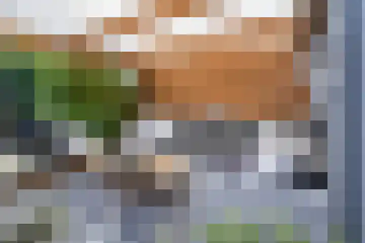 Kolkrijst 154 Hoogland thumbnail 39