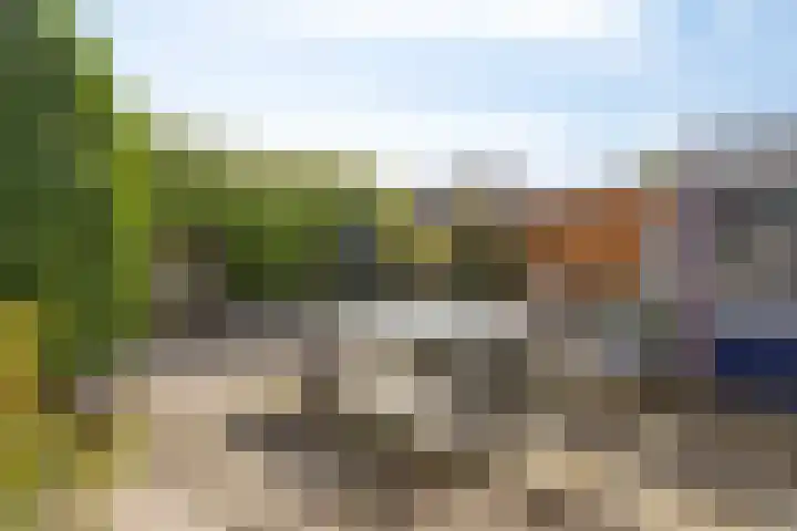 Kolkrijst 154 Hoogland thumbnail 4