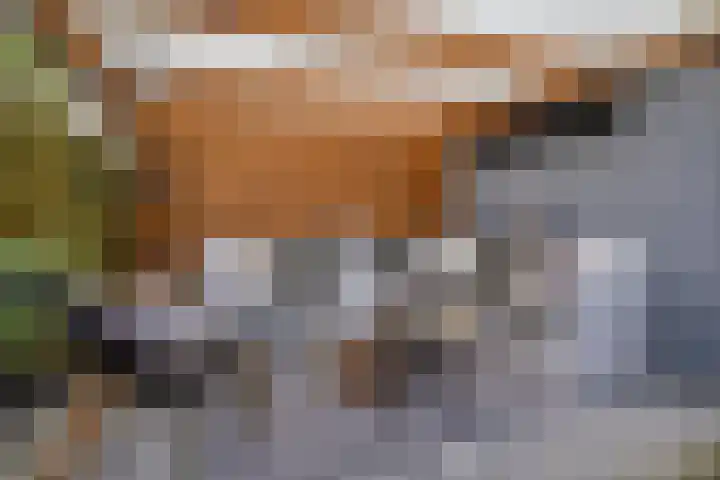 Kolkrijst 154 Hoogland thumbnail 5