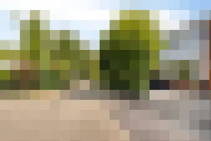Kolkrijst 154 Hoogland thumbnail 7