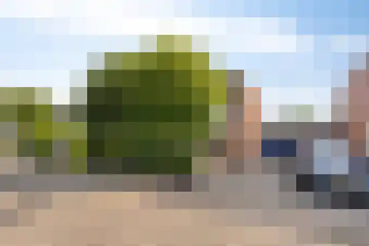 Kolkrijst 154 Hoogland thumbnail 8
