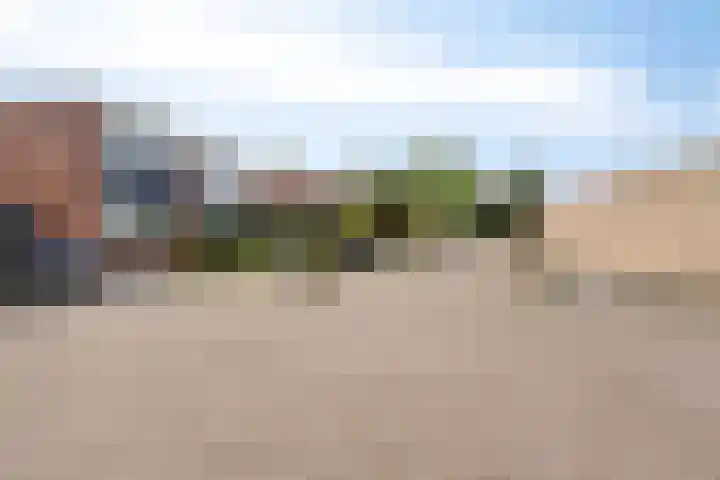 Kolkrijst 154 Hoogland thumbnail 9