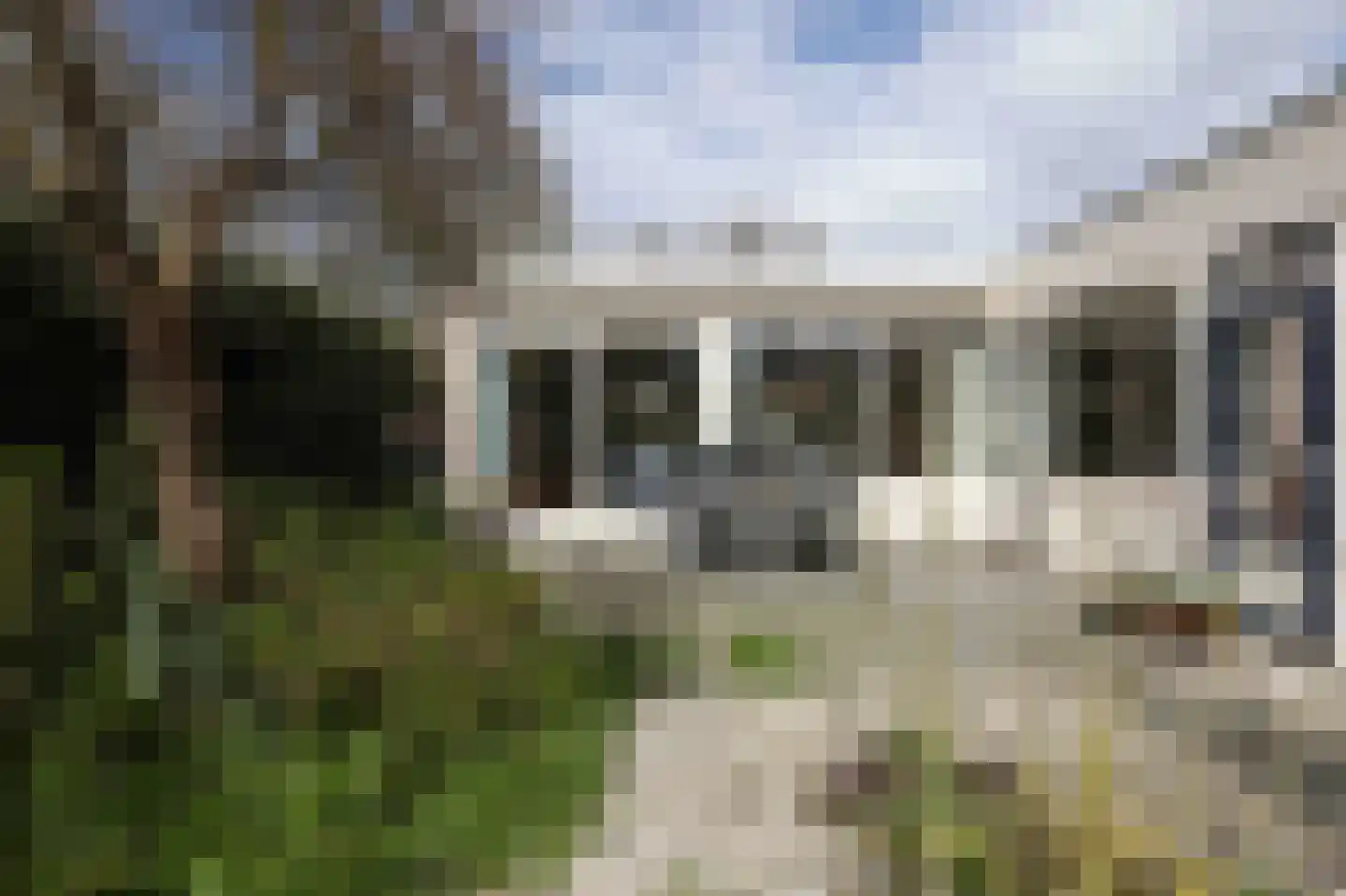 Kolkrijst 174 Hoogland thumbnail 26