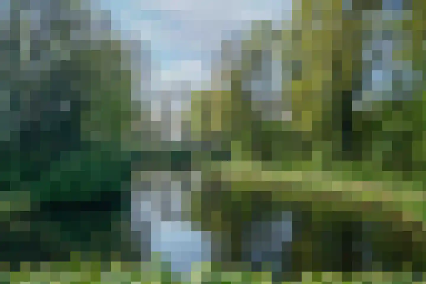 Kolkrijst 174 Hoogland thumbnail 35