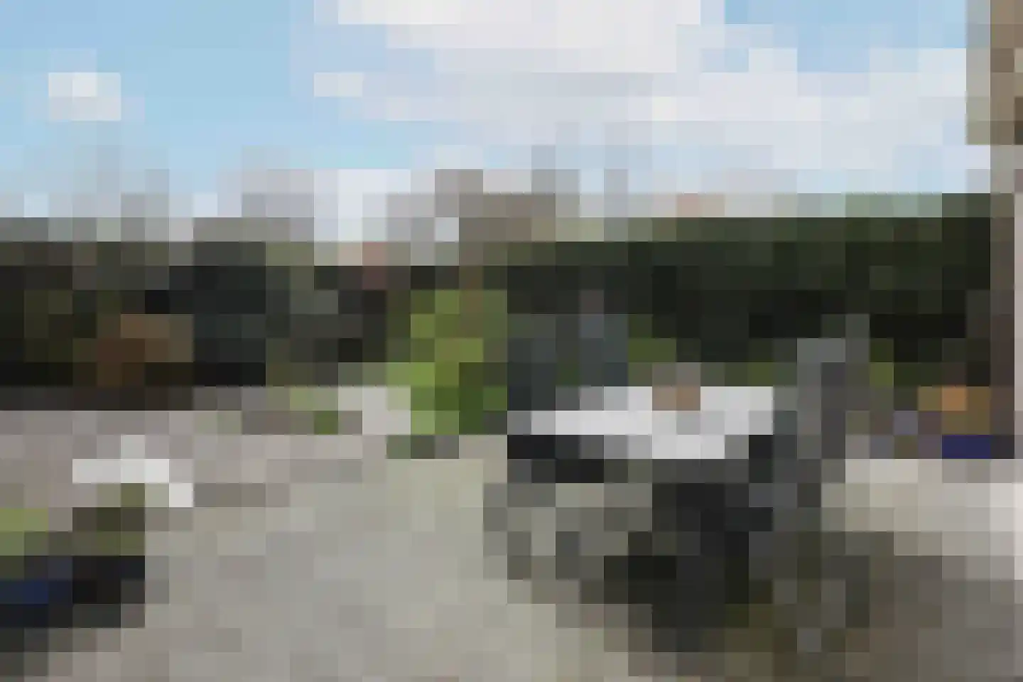 Kolkrijst 174 Hoogland thumbnail 5