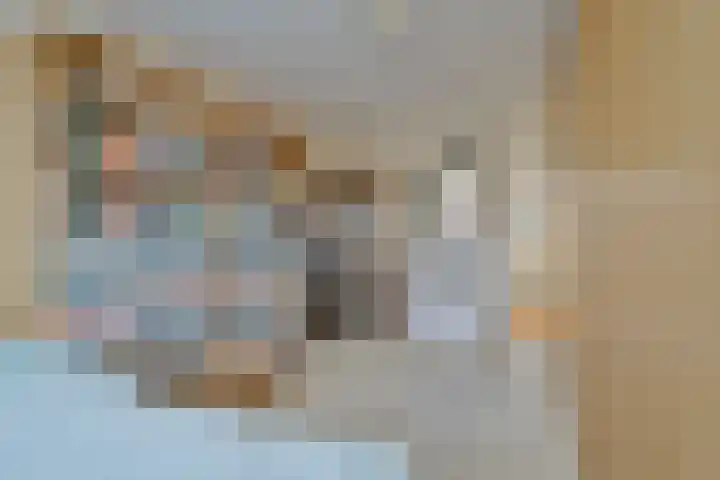 Kolkrijst 29 Hoogland thumbnail 20