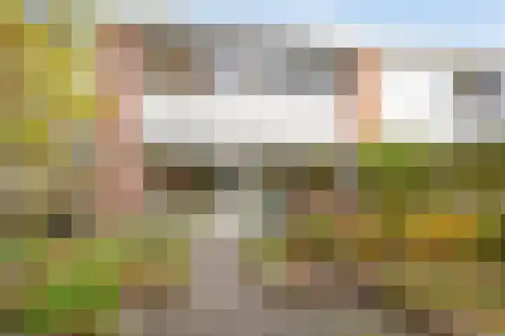 Kolkrijst 29 Hoogland thumbnail 31