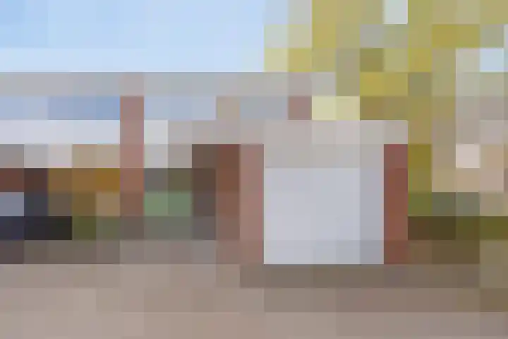Kolkrijst 29 Hoogland thumbnail 6