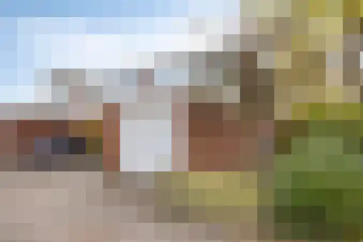 Kolkrijst 29 Hoogland thumbnail 7