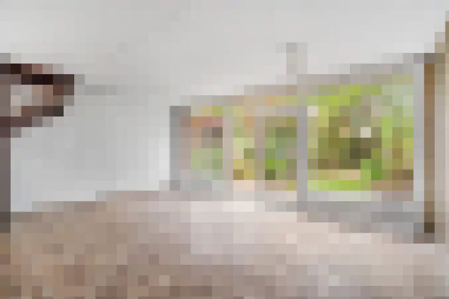 Kolkrijst 3 Hoogland thumbnail 18