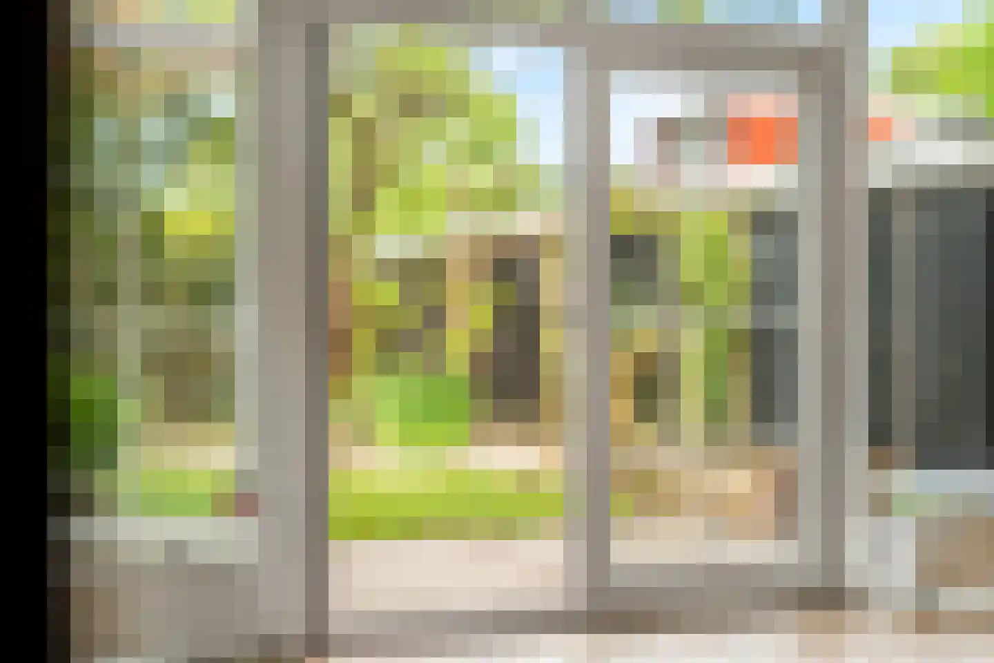 Kolkrijst 3 Hoogland thumbnail 20