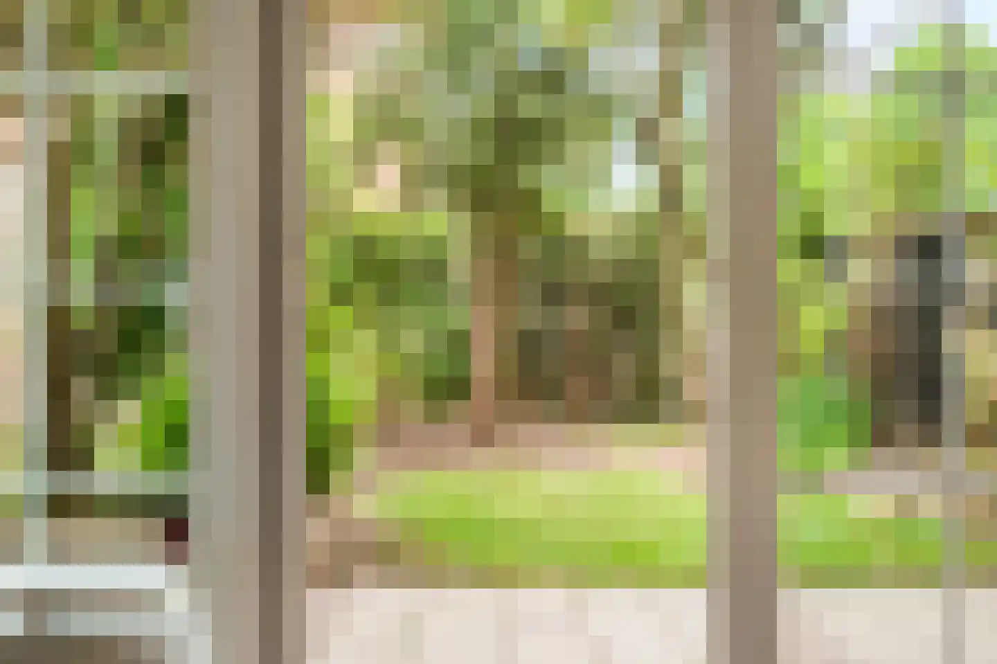 Kolkrijst 3 Hoogland thumbnail 21