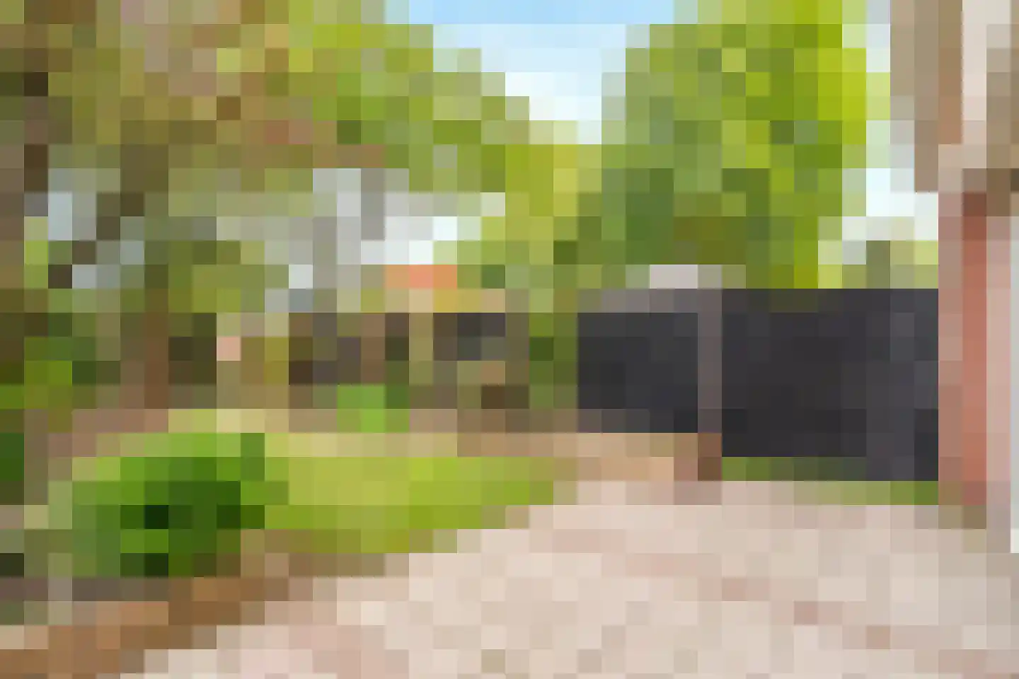 Kolkrijst 3 Hoogland thumbnail 24