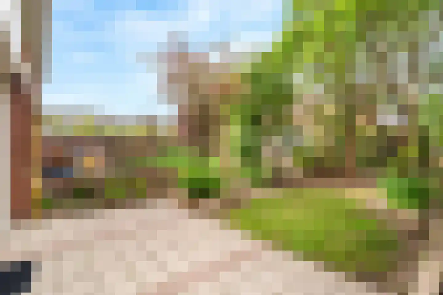 Kolkrijst 3 Hoogland thumbnail 25