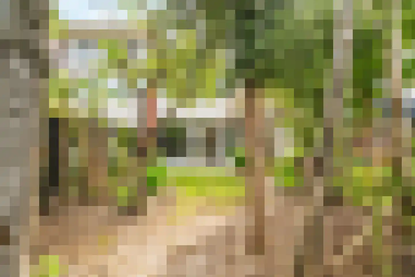 Kolkrijst 3 Hoogland thumbnail 26