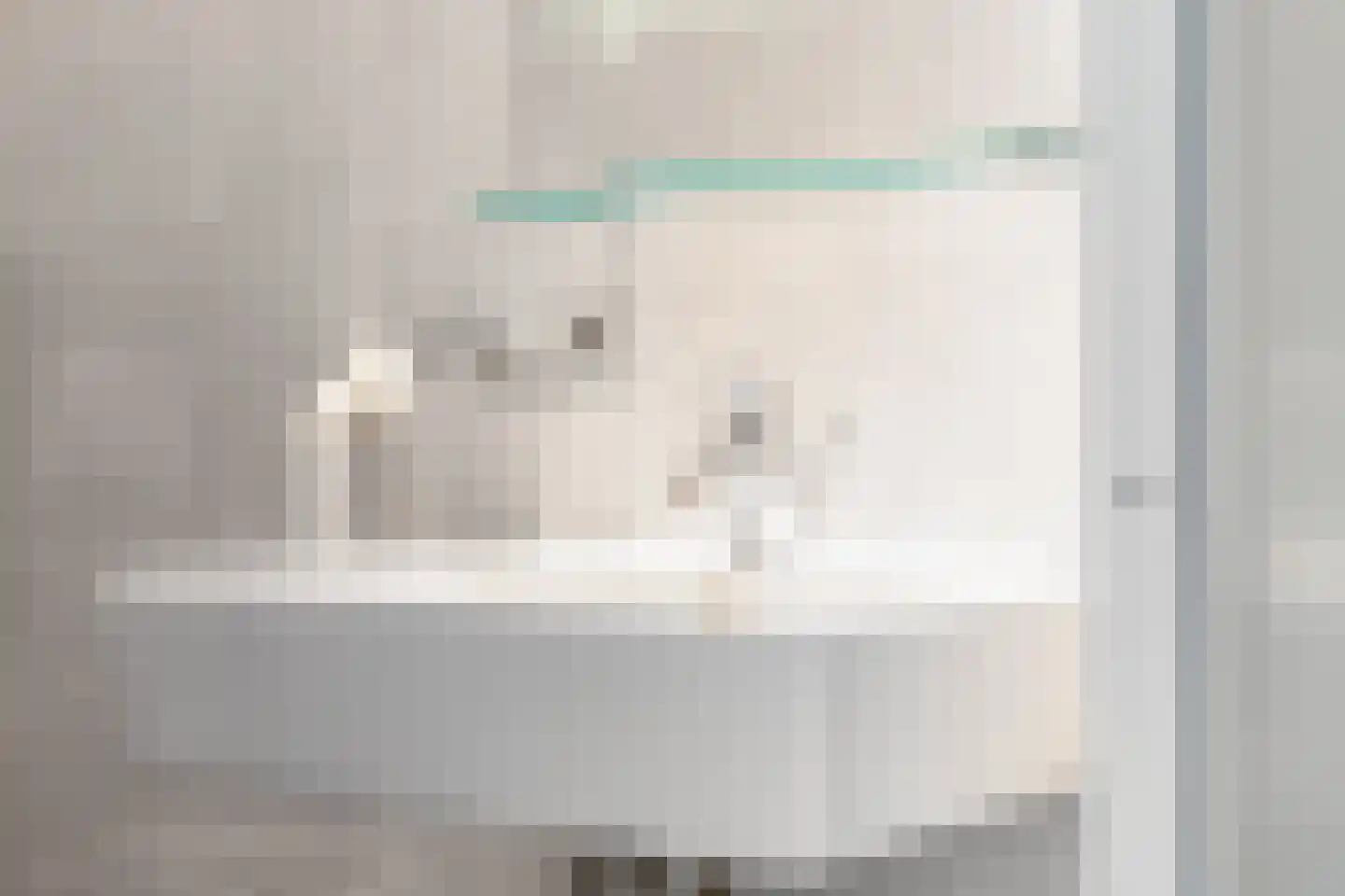 Kolkrijst 3 Hoogland thumbnail 29