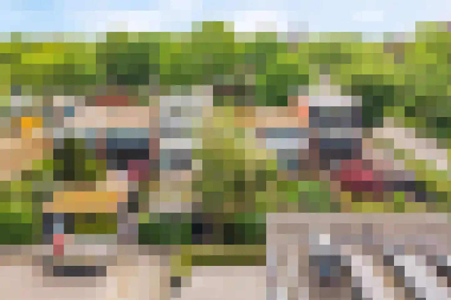 Kolkrijst 3 Hoogland thumbnail 39