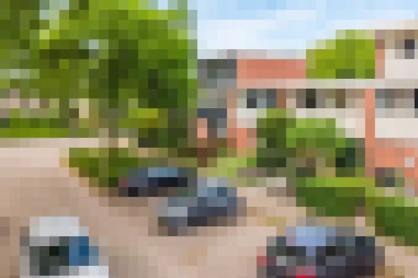 Kolkrijst 3 Hoogland thumbnail 4