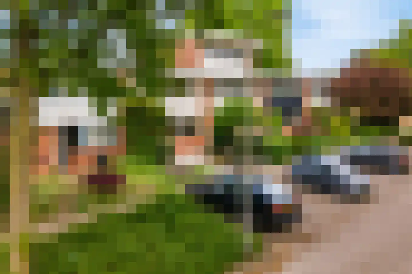 Kolkrijst 3 Hoogland thumbnail 4