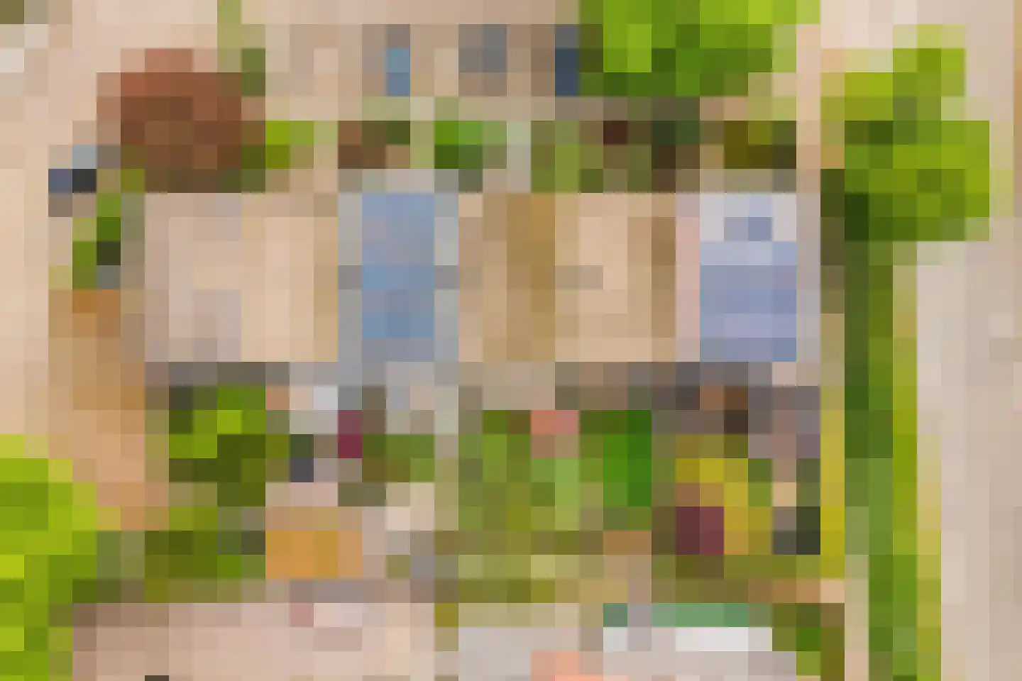 Kolkrijst 3 Hoogland thumbnail 41