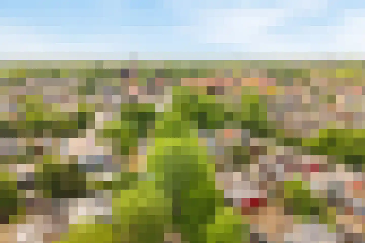 Kolkrijst 3 Hoogland thumbnail 42