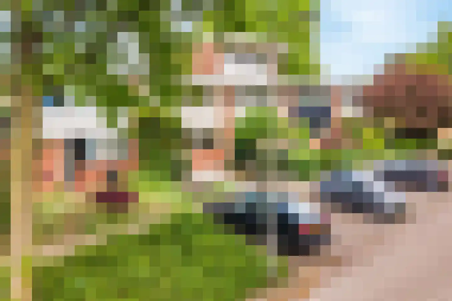 Kolkrijst 3 Hoogland thumbnail 5