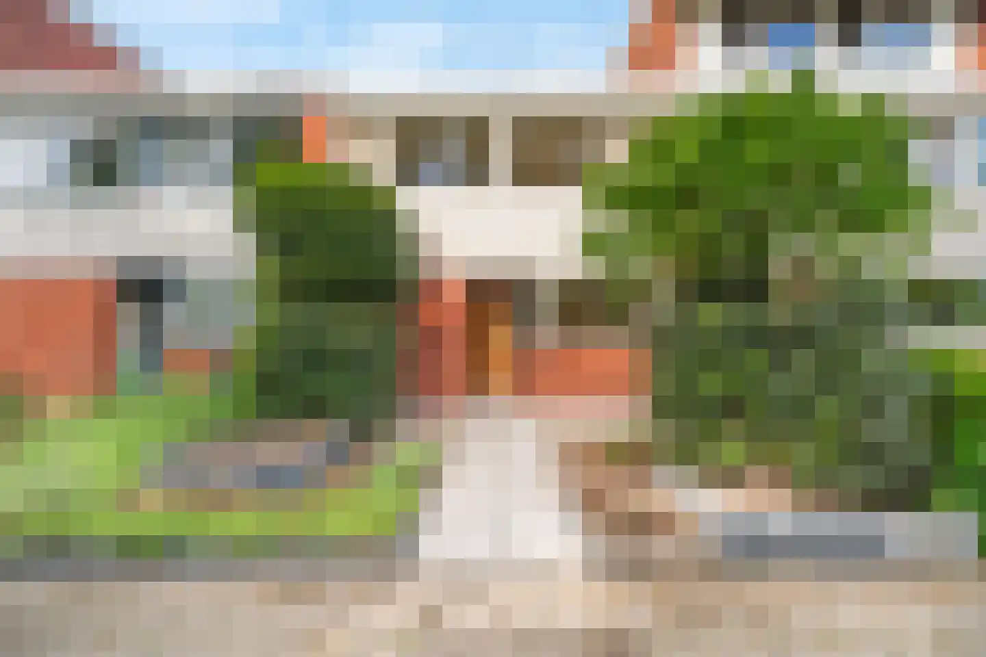 Kolkrijst 3 Hoogland thumbnail 6