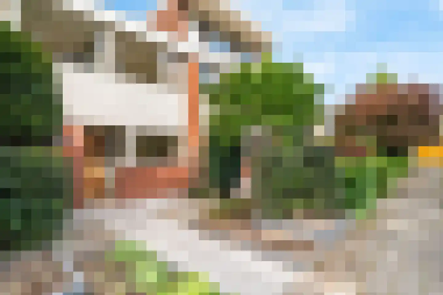 Kolkrijst 3 Hoogland thumbnail 7