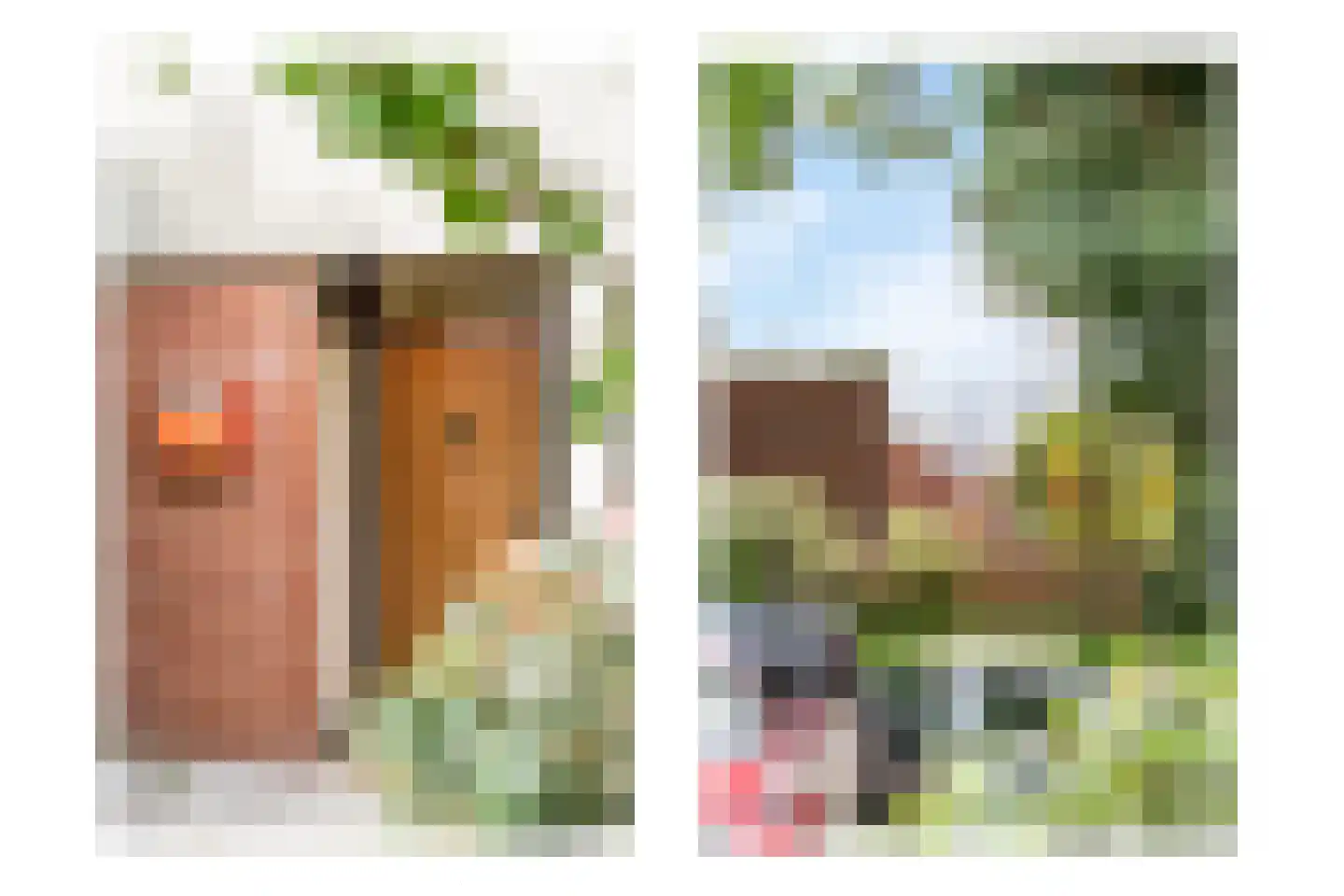Kolkrijst 3 Hoogland thumbnail 8