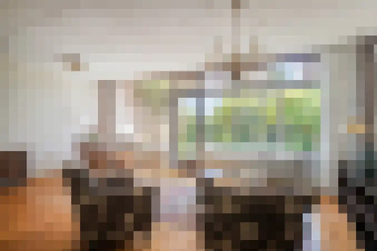 Kolkrijst 46 Hoogland thumbnail 11