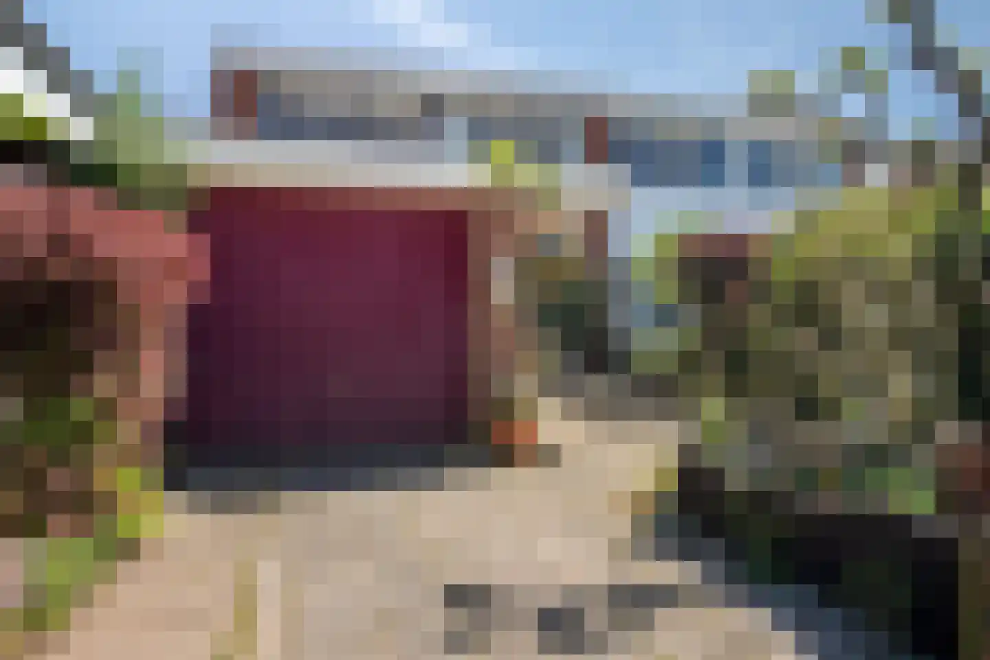 Kolkrijst 46 Hoogland thumbnail 23