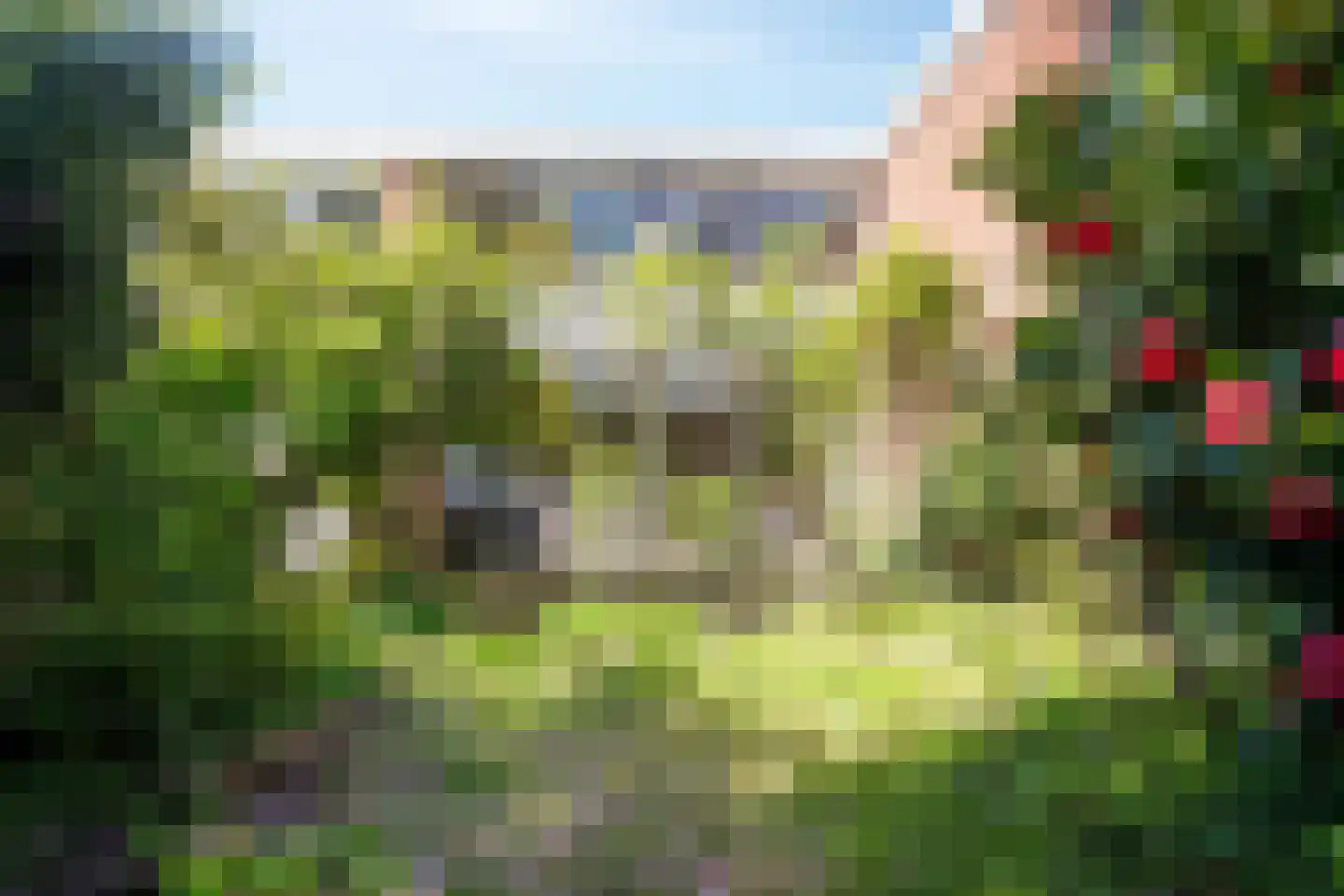 Kolkrijst 46 Hoogland thumbnail 25