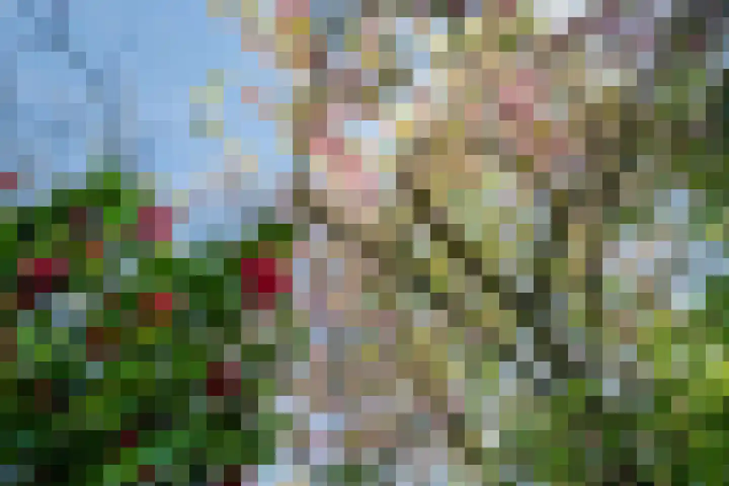 Kolkrijst 46 Hoogland thumbnail 26