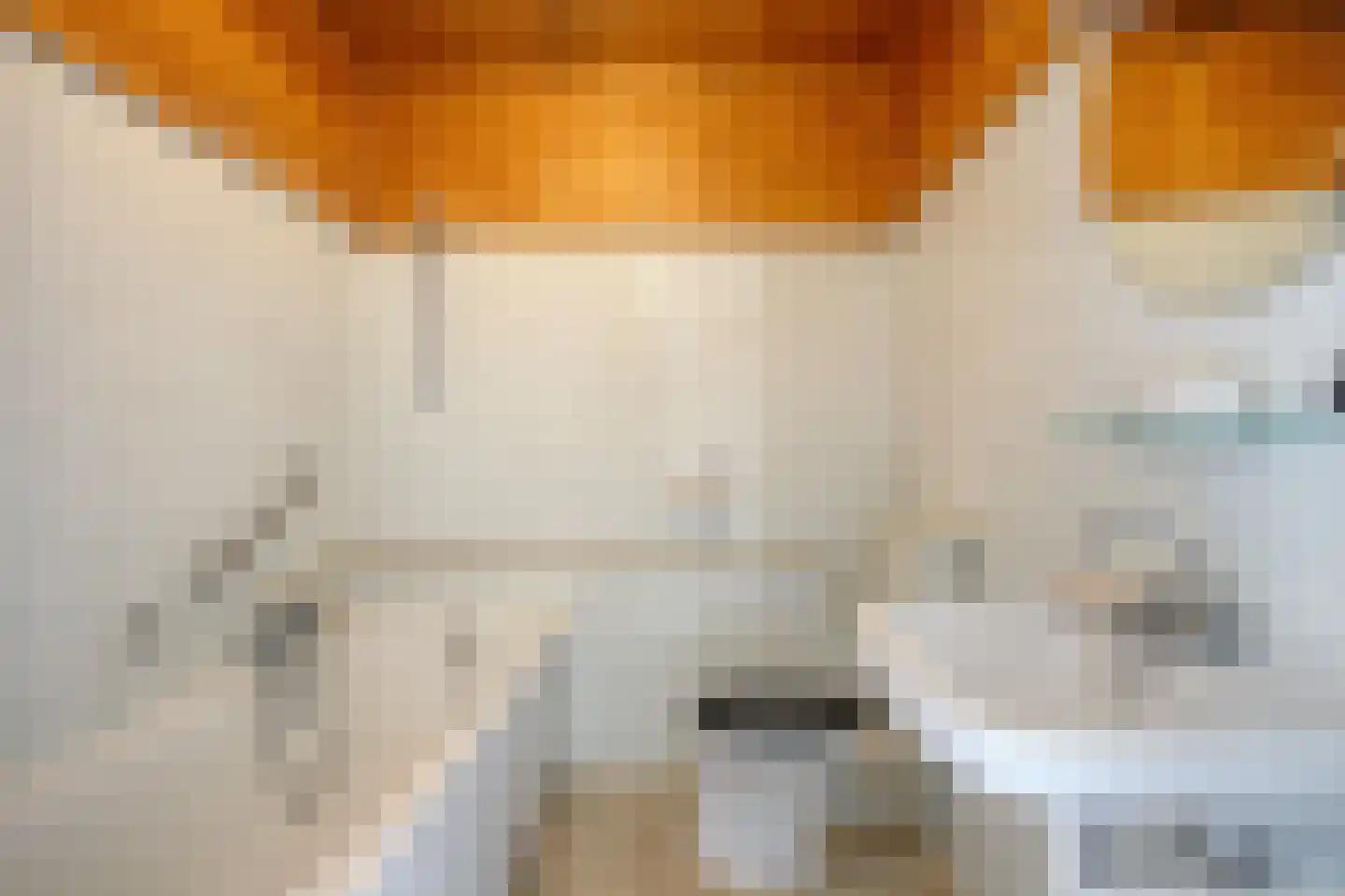 Kolkrijst 46 Hoogland thumbnail 30