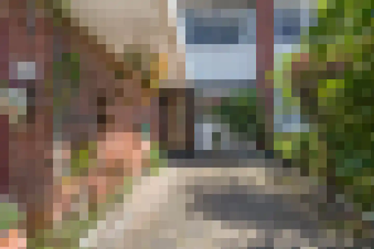 Kolkrijst 46 Hoogland thumbnail 5
