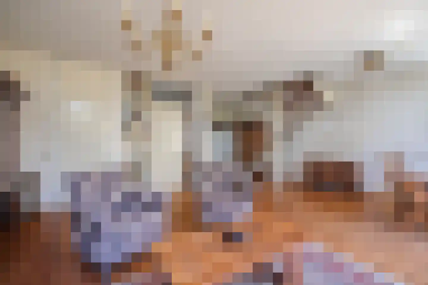 Kolkrijst 46 Hoogland thumbnail 8