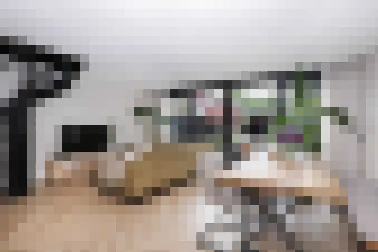 Kolkrijst 5 Hoogland thumbnail 10