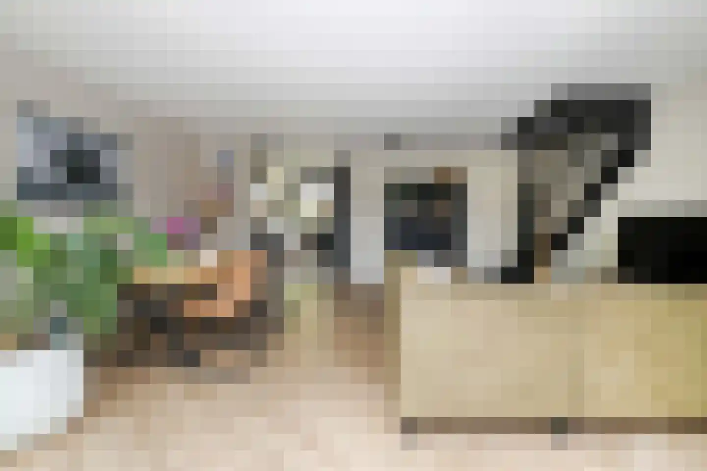 Kolkrijst 5 Hoogland thumbnail 12